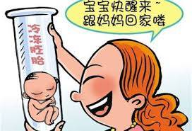 专家肖像